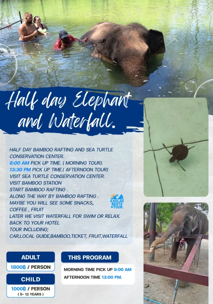 Half day Elephant and Waterfall